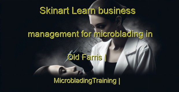 Skinart Learn business management for microblading in Old Farris | MicrobladingTraining | MicrobladingClasses | SkinartTraining-United States